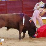 garrido px